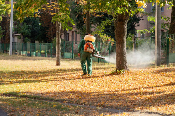 Professional Pest Control in Cherry Grove, OH